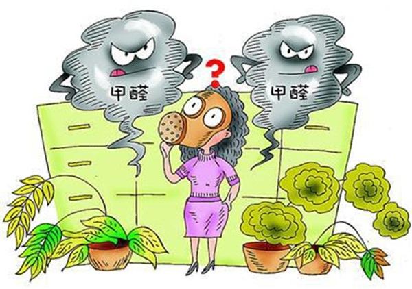 不知道除甲醛多少錢一平米？你就等著被坑吧！