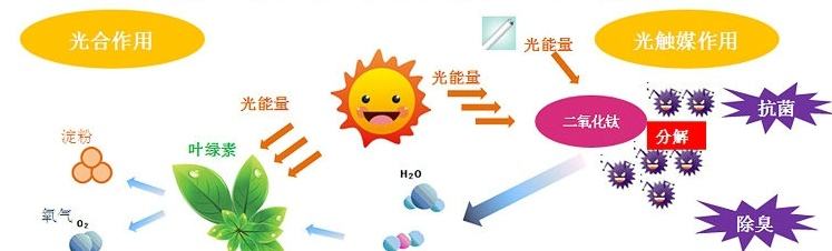 甲醛治理用什么辦法最正確？這三點常見的除甲醛辦法其實是誤區