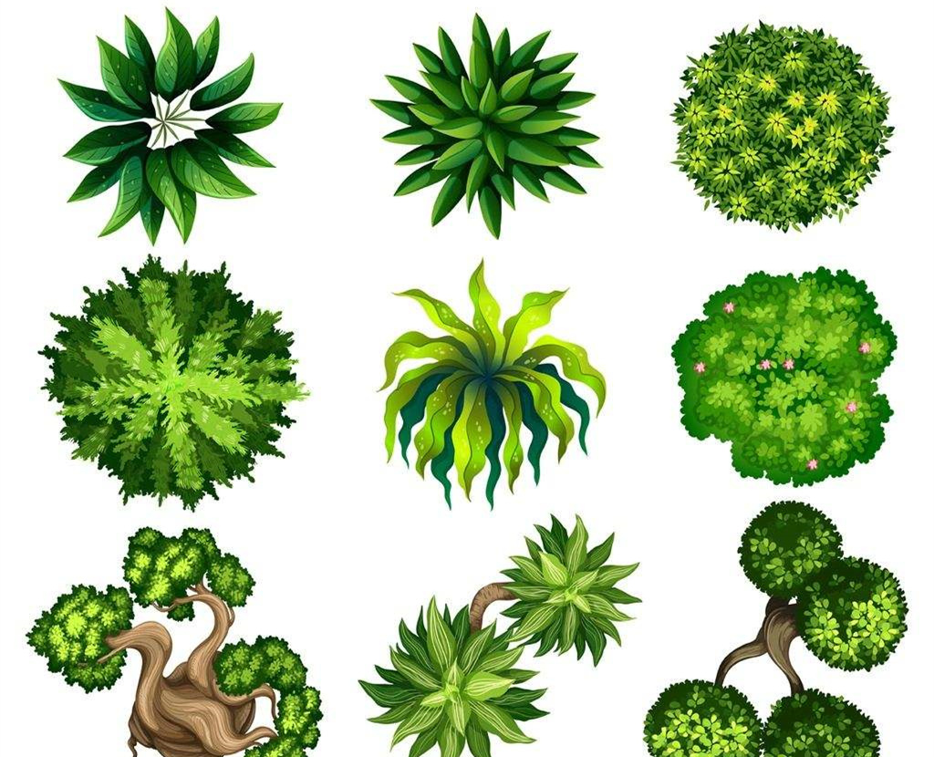 可以凈化室內(nèi)空氣的植物，這二十種您需要好好了解一下！