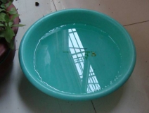 裝修完僅靠兩盆冷水就能除甲醛？這個說法連網(wǎng)友都出來辟謠！大家別再相信了！