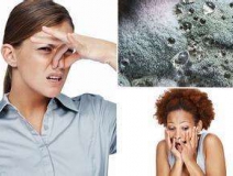 家里有異味怎么辦？科學(xué)除味、治理甲醛就對了！
