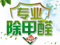 除甲醛公司的專業性表現在哪些方面？
