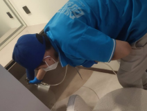 地毯也會引起甲醛超標嗎？