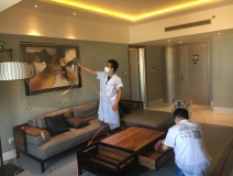 如何去除車內甲醛和異味，汽車甲醛治理方法優劣分析！