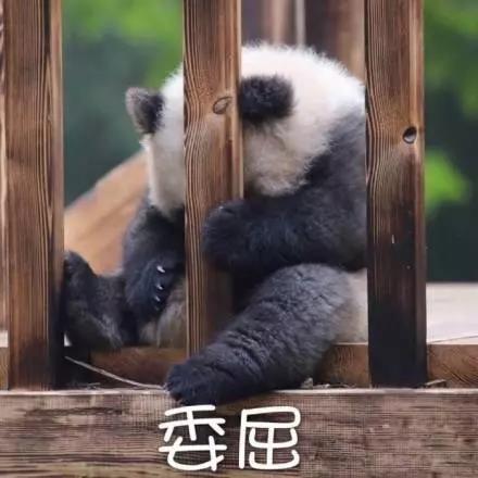 別大意！七大除甲醛“誤區(qū)”，信了你反而會生病！通風、綠植、活性炭、熏蒸……你中招了嗎？